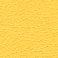 Canary Vinyl Sample