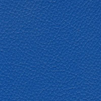 Royal Blue Vinyl Sample