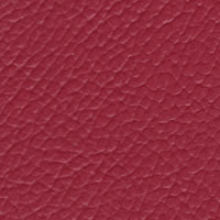 Burganey Vinyl Sample