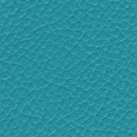 Tidal Reef Vinyl Sample